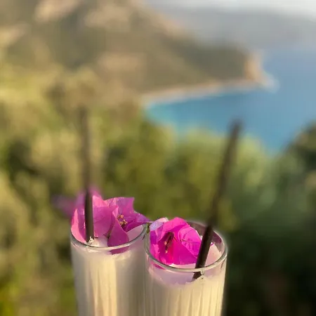 Bed and Breakfast Kabak Armes Φετιγιέ