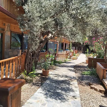 Bed and Breakfast Kabak Armes *