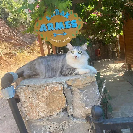 Kabak Armes